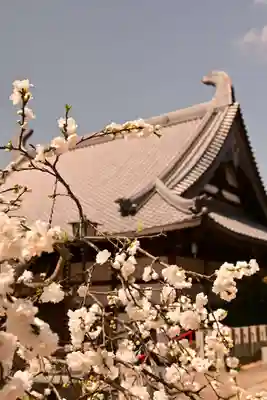 祥雲寺(愛媛県)