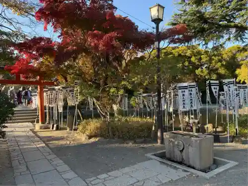 鶴岡八幡宮の庭園