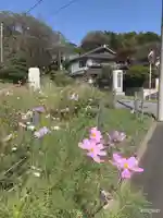 玉泉寺(東京都)