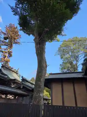 鹿島八幡神社(茨城県)