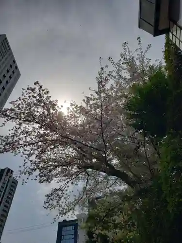 乃木神社(東京都)
