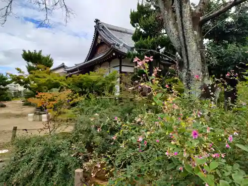 圓光禅寺（円光寺）の本殿・本堂