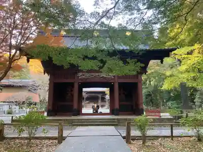 妙本寺(神奈川県)