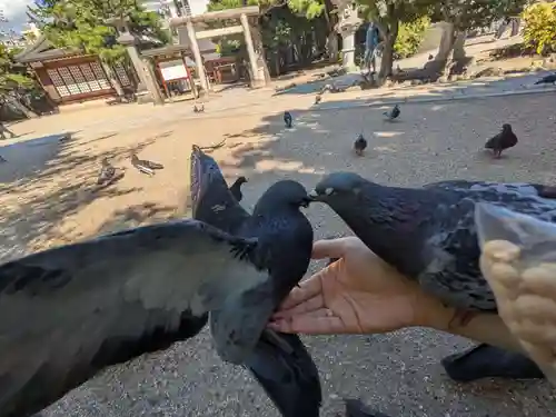 四柱神社(長野県)