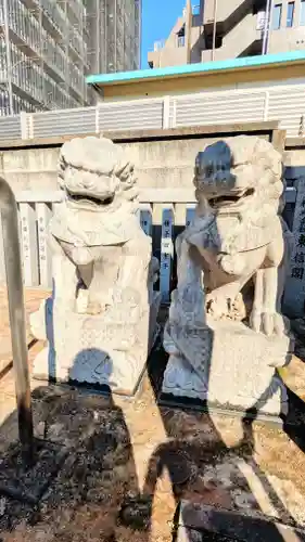 荻窪白山神社の狛犬