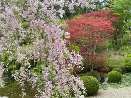 善峯寺(京都府)