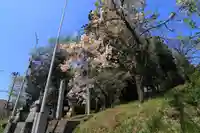 春日神社の庭園