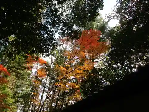 円成寺(奈良県)