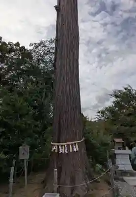 鶴峯八幡宮(千葉県)