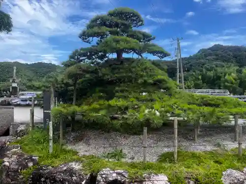 種間寺(高知県)