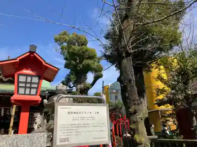 五方山熊野神社の{uncategorized: "未分類", other: "その他", undefined: "問題あり", building: "その他建物", grave: "お墓", sacred_gate: "鳥居", guardian: "狛犬", statue: "像", buddha: "仏像", history: "歴史", nature: "自然", garden: "庭園", animal: "動物", pagoda: "塔", temizu: "手水舎", mountain_gate: "山門・神門", sanctuary: "本殿・本堂", subordinate: "末社・摂社", art: "芸術", scenery: "景色", jizo: "地蔵", ema: "絵馬", goshuin: "御朱印", omikuji: "おみくじ", items: "授与品その他", amulet: "お守り", goshuincho: "御朱印帳", eats: "食事", festival: "お祭り", votive_dance: "神楽", shichigosan: "七五三参", wedding: "結婚式", experience: "体験その他", initially: "初詣", around: "周辺", anti_infection: "感染症対策"}