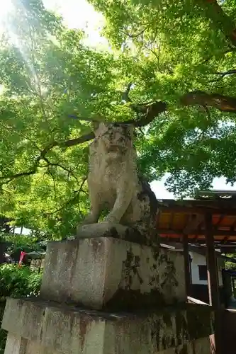 松尾大社の狛犬