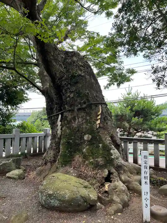 比比多神社(子易明神)(神奈川県)