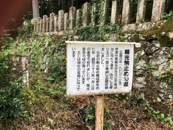川内多々奴比神社のその他建物