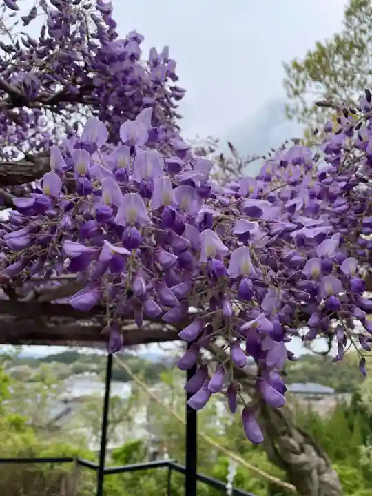 原谷弁財天(京都府)