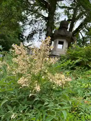 手力雄神社(岐阜県)
