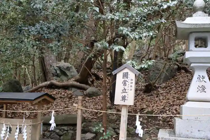 出雲大神宮(京都府)