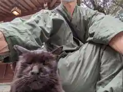 王子神社の動物