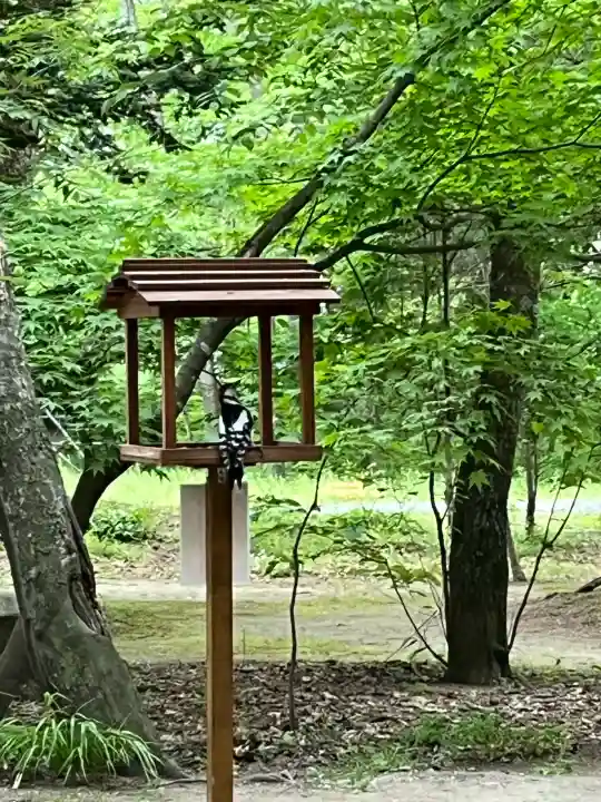 帯廣神社(北海道)