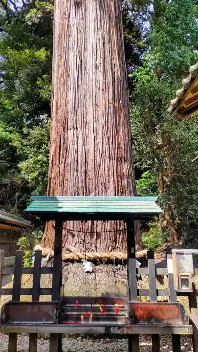 事任八幡宮(静岡県)