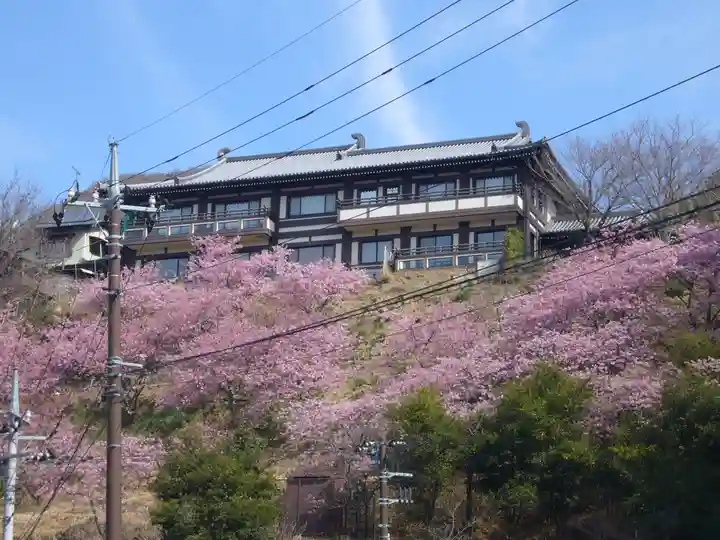 楽法寺(雨引観音)の自然