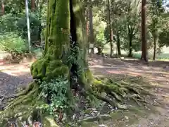 八幡神社(兵庫県)