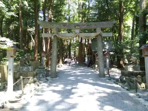 椿大神社の鳥居