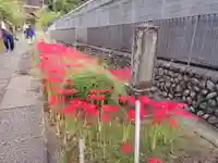 横浜 西方寺の自然