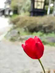 白鳥神社(長野県)