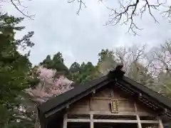 北海道神宮(北海道)