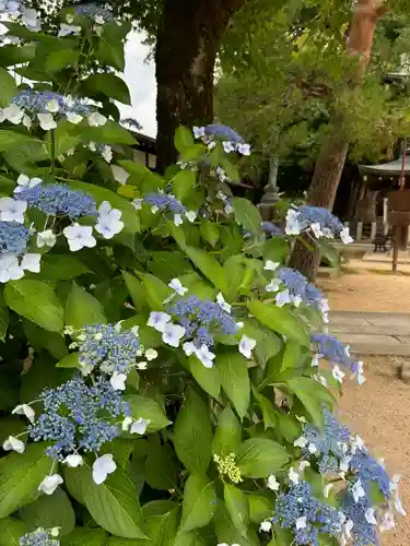 飛騨国分寺(岐阜県)