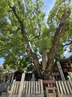 石切劔箭神社(大阪府)
