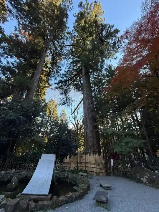 水澤寺(水澤観世音)(群馬県)