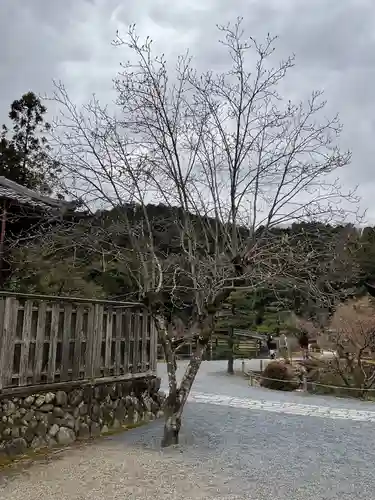永保寺(岐阜県)