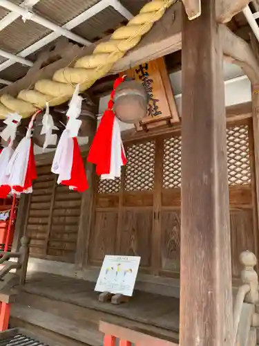 渋川八幡宮の本殿・本堂