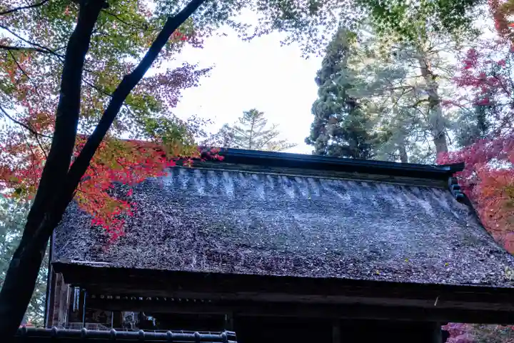 大矢田神社(岐阜県)
