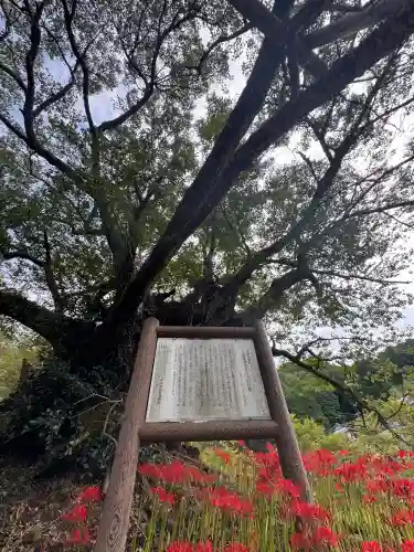 仏隆寺(奈良県)