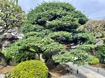 蓮華寺(東京都)
