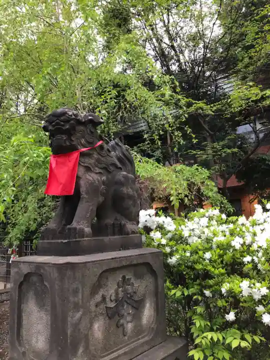 市谷亀岡八幡宮の狛犬
