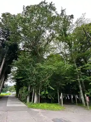 新屋山神社(山梨県)