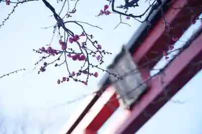 亀戸天神社の鳥居