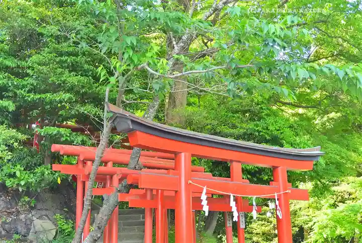 鶴岡八幡宮(神奈川県)