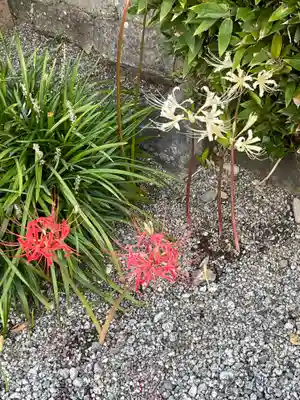 梅香寺(三重県)