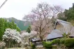 地蔵院の建物その他