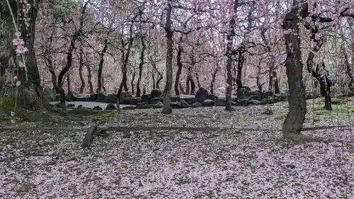 城南宮(京都府)