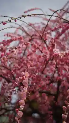 城南宮(京都府)