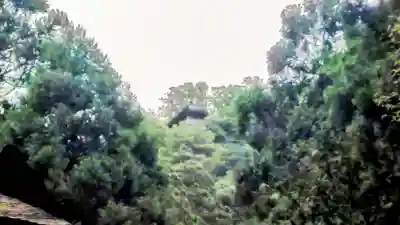 三佛寺(鳥取県)