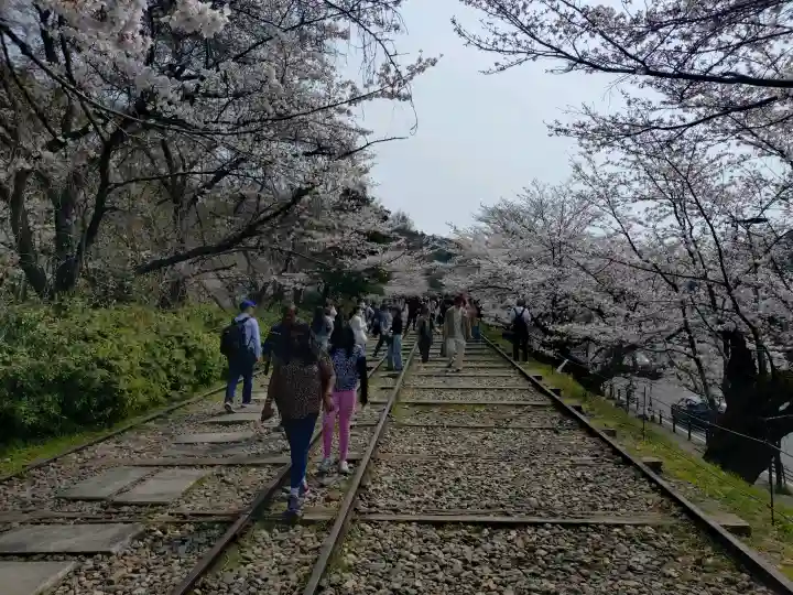 南禅寺の{uncategorized: "未分類", other: "その他", undefined: "問題あり", building: "その他建物", grave: "お墓", sacred_gate: "鳥居", guardian: "狛犬", statue: "像", buddha: "仏像", history: "歴史", nature: "自然", garden: "庭園", animal: "動物", pagoda: "塔", temizu: "手水舎", mountain_gate: "山門・神門", sanctuary: "本殿・本堂", subordinate: "末社・摂社", art: "芸術", scenery: "景色", jizo: "地蔵", ema: "絵馬", goshuin: "御朱印", omikuji: "おみくじ", items: "授与品その他", amulet: "お守り", goshuincho: "御朱印帳", eats: "食事", festival: "お祭り", votive_dance: "神楽", shichigosan: "七五三参", wedding: "結婚式", experience: "体験その他", initially: "初詣", around: "周辺", anti_infection: "感染症対策"}