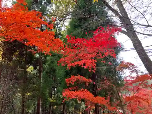 石道寺(滋賀県)