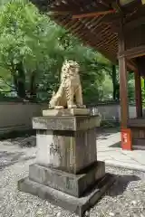 深川神社の狛犬